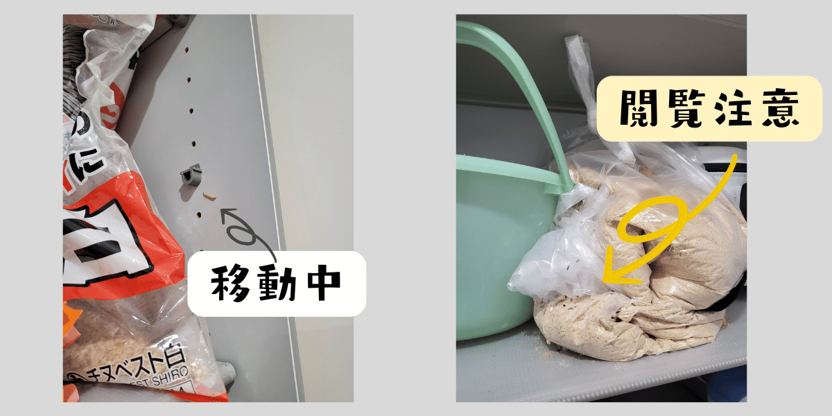 証拠写真（閲覧注意）