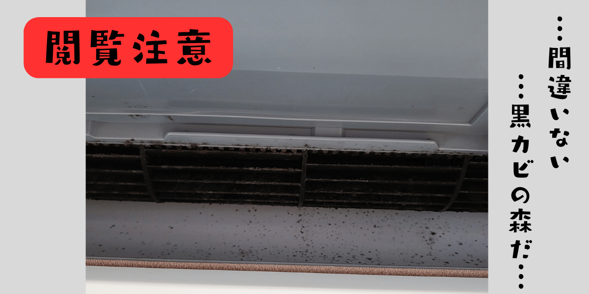 フラップを外して見えた、黒カビだらけのエアコン内部